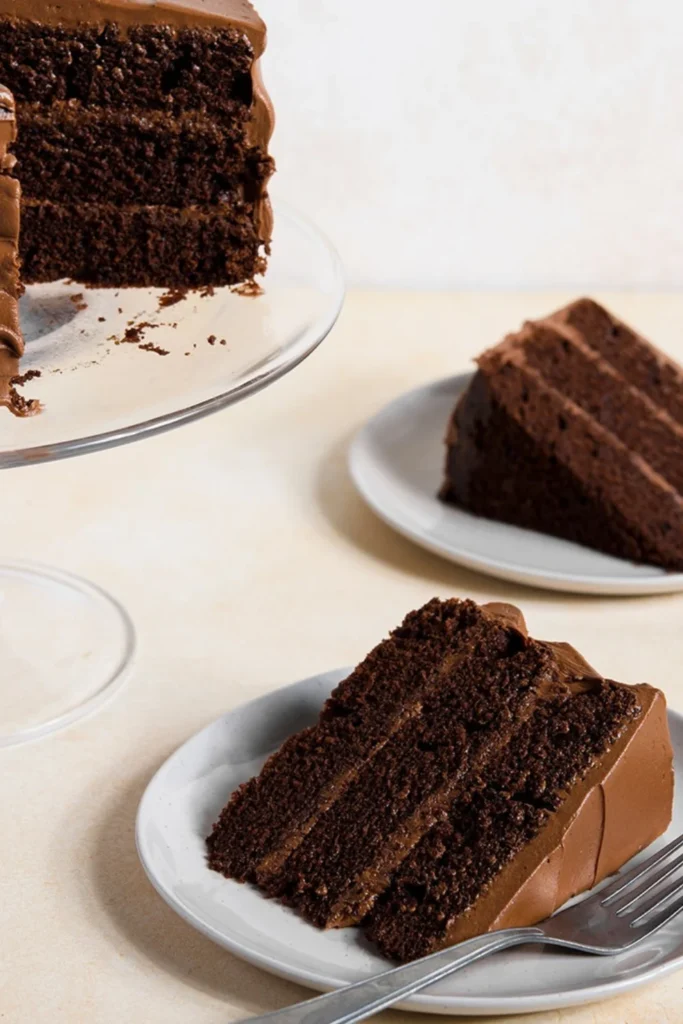 Chocolate Blackout Cake