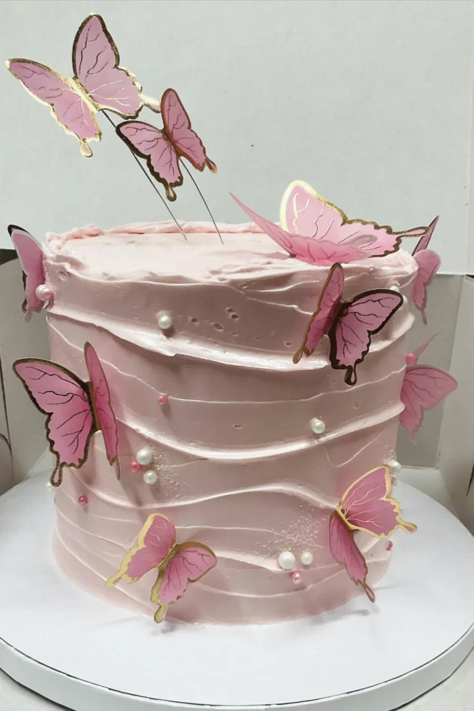 Butterfly Aesthetic Cake