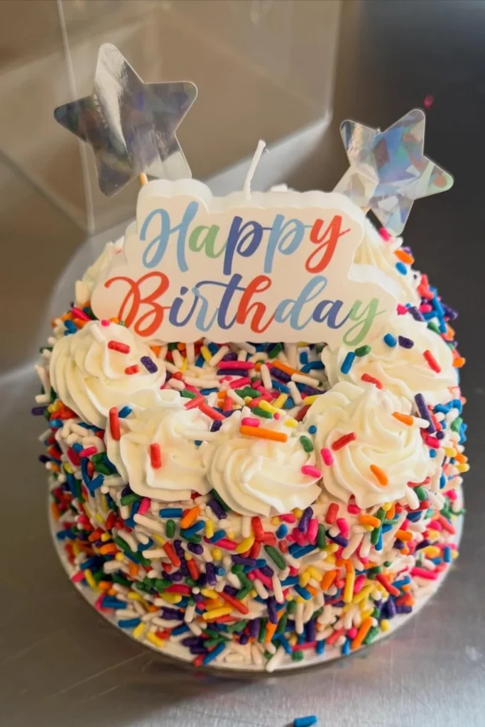 Celebration Confetti Bento Cake