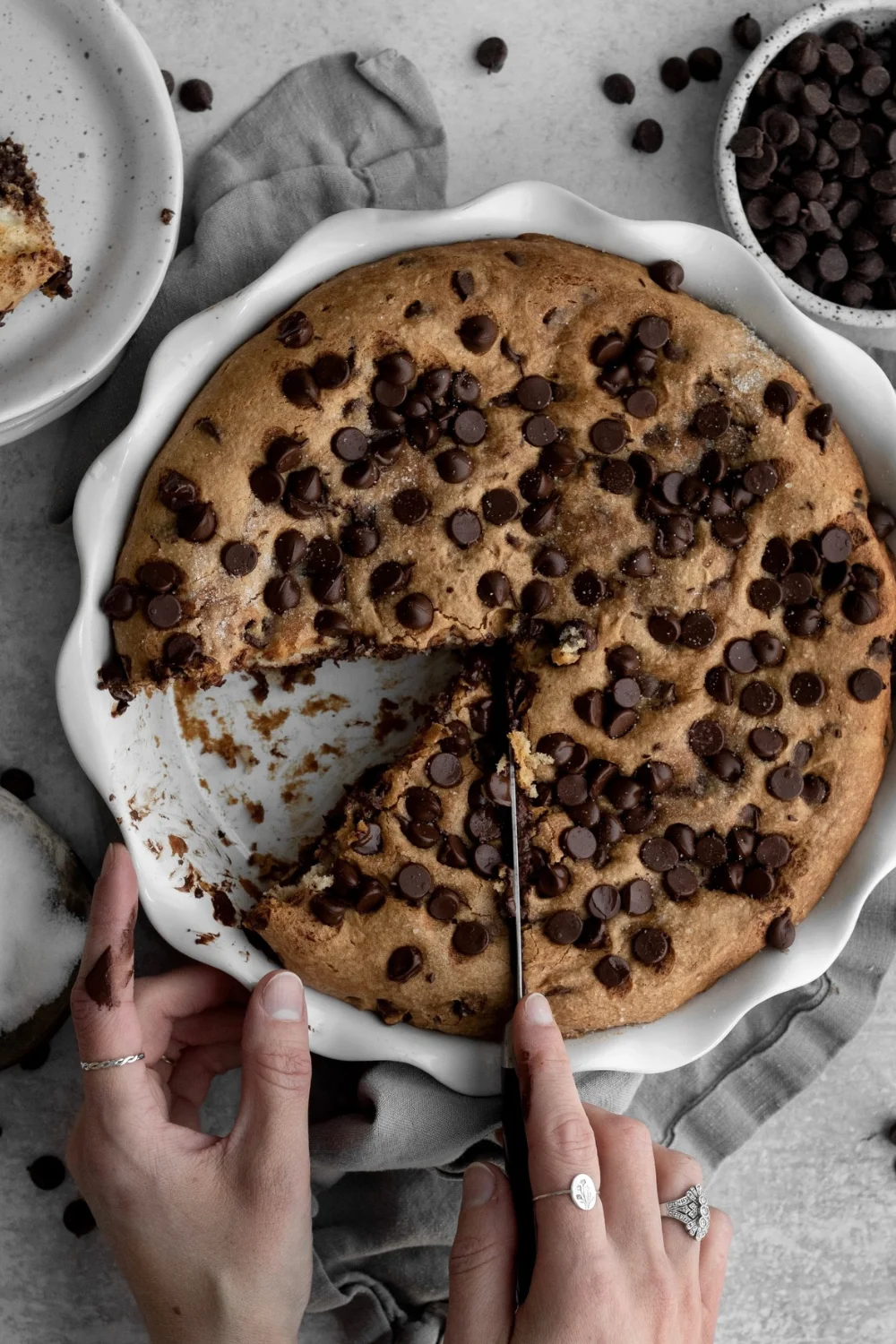Chocolate Chip Chocolate Cake