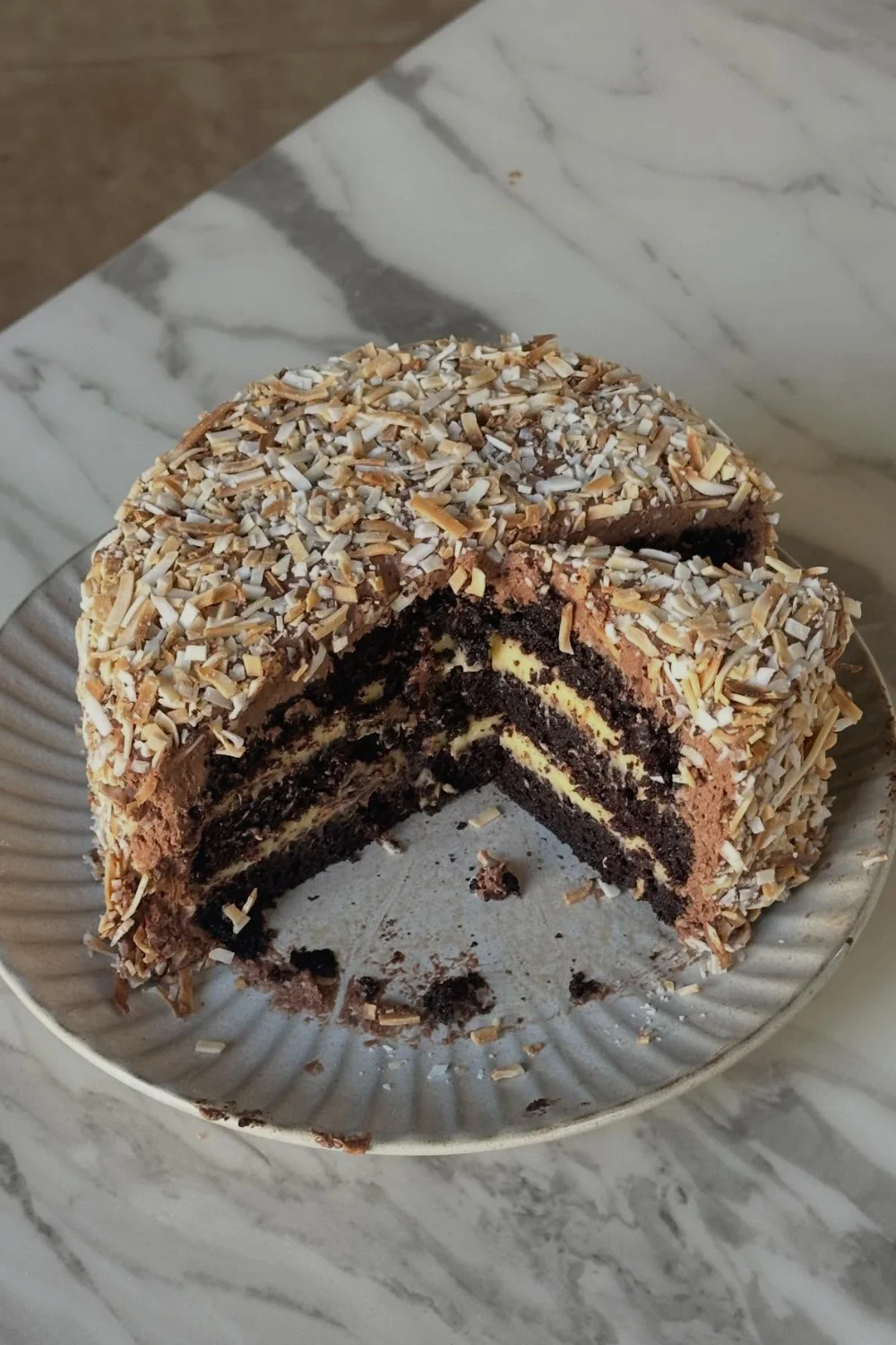 Chocolate Coconut Cake