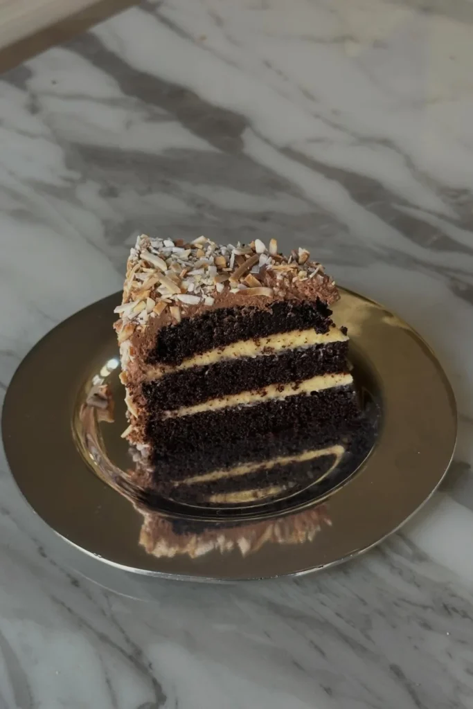 Chocolate Coconut Cake