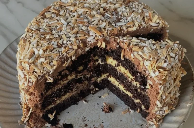 Chocolate Coconut Cake