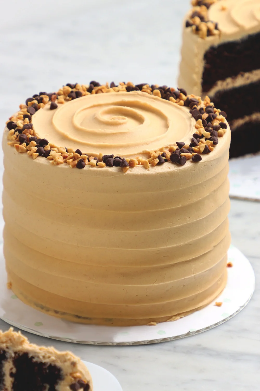 Chocolate Peanut Butter Cake