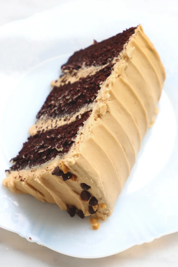 Chocolate Peanut Butter Cake