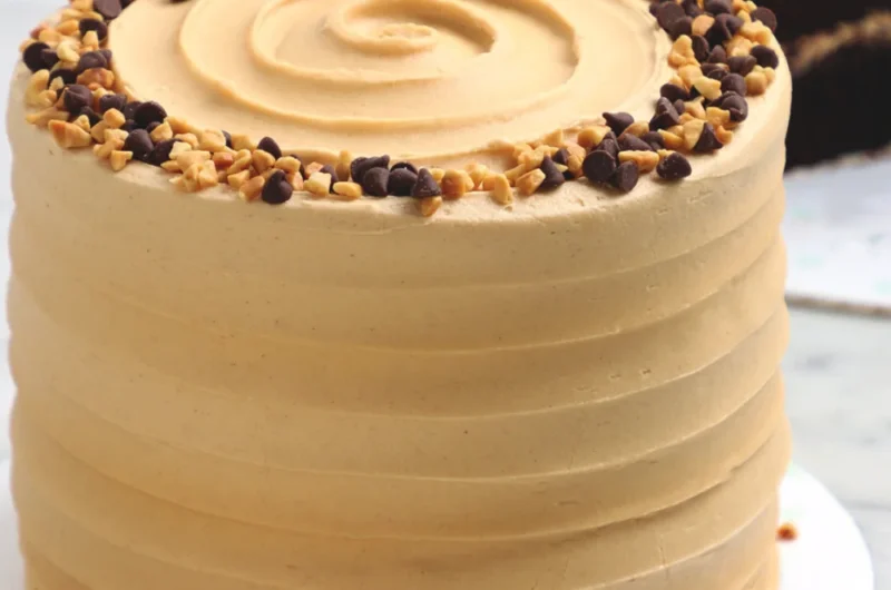 Chocolate Peanut Butter Cake