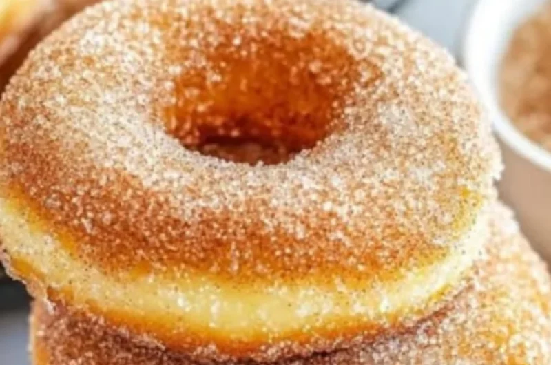 Cinnamon Sugar Baked Donuts Recipe Better Than Bakery Style